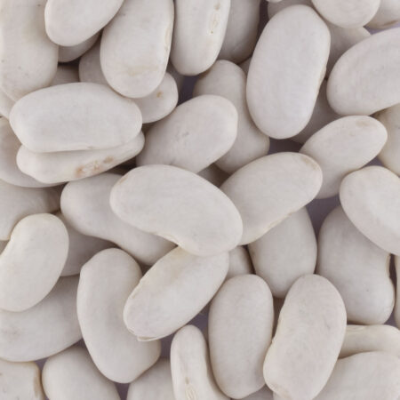 HARICOTS TARBAIS