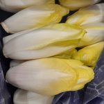 ENDIVE
