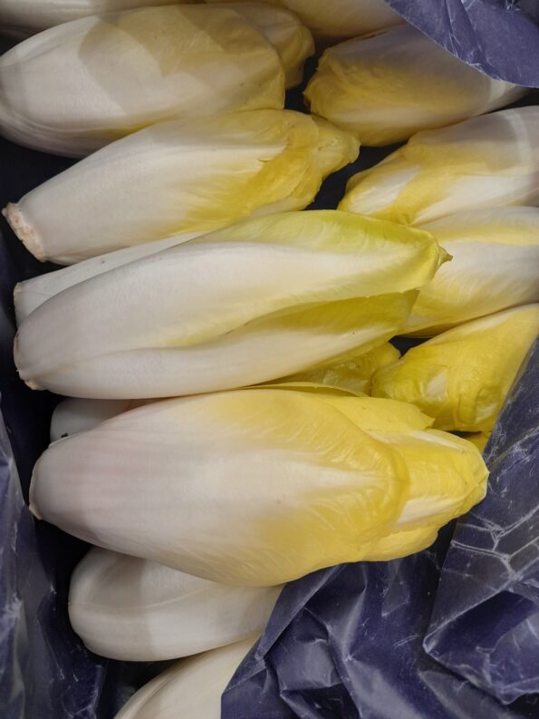 ENDIVE