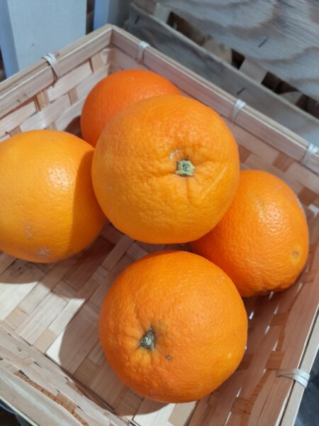 ORANGE STAAR