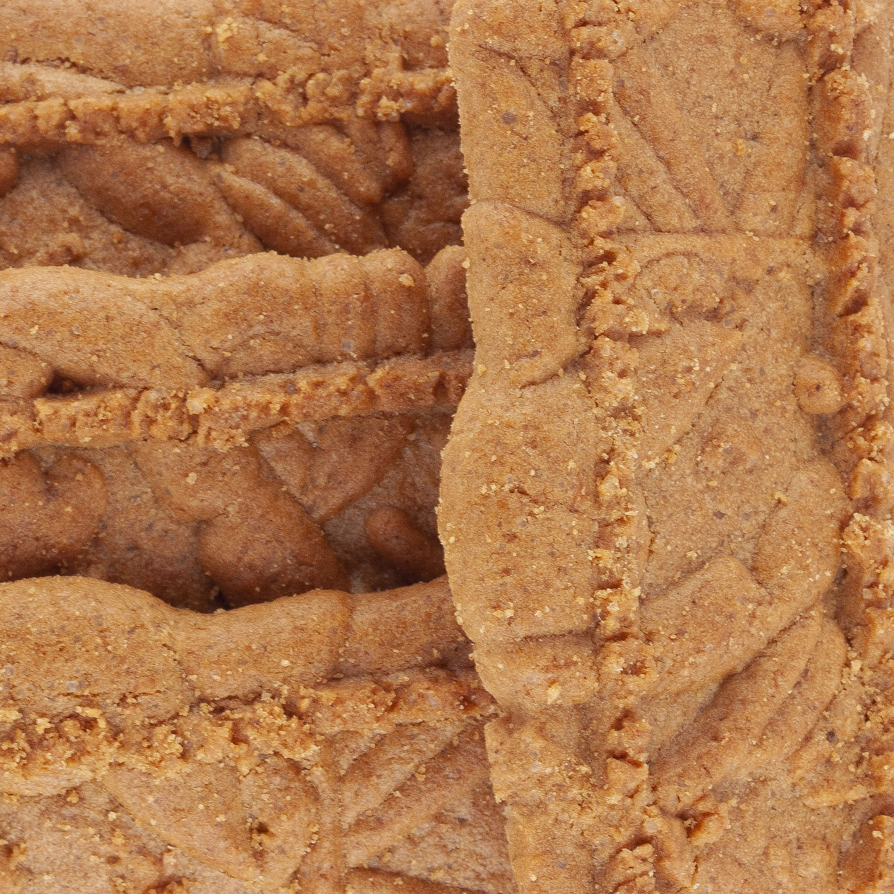 SPECULOOS D'EPEAUTRE BIO