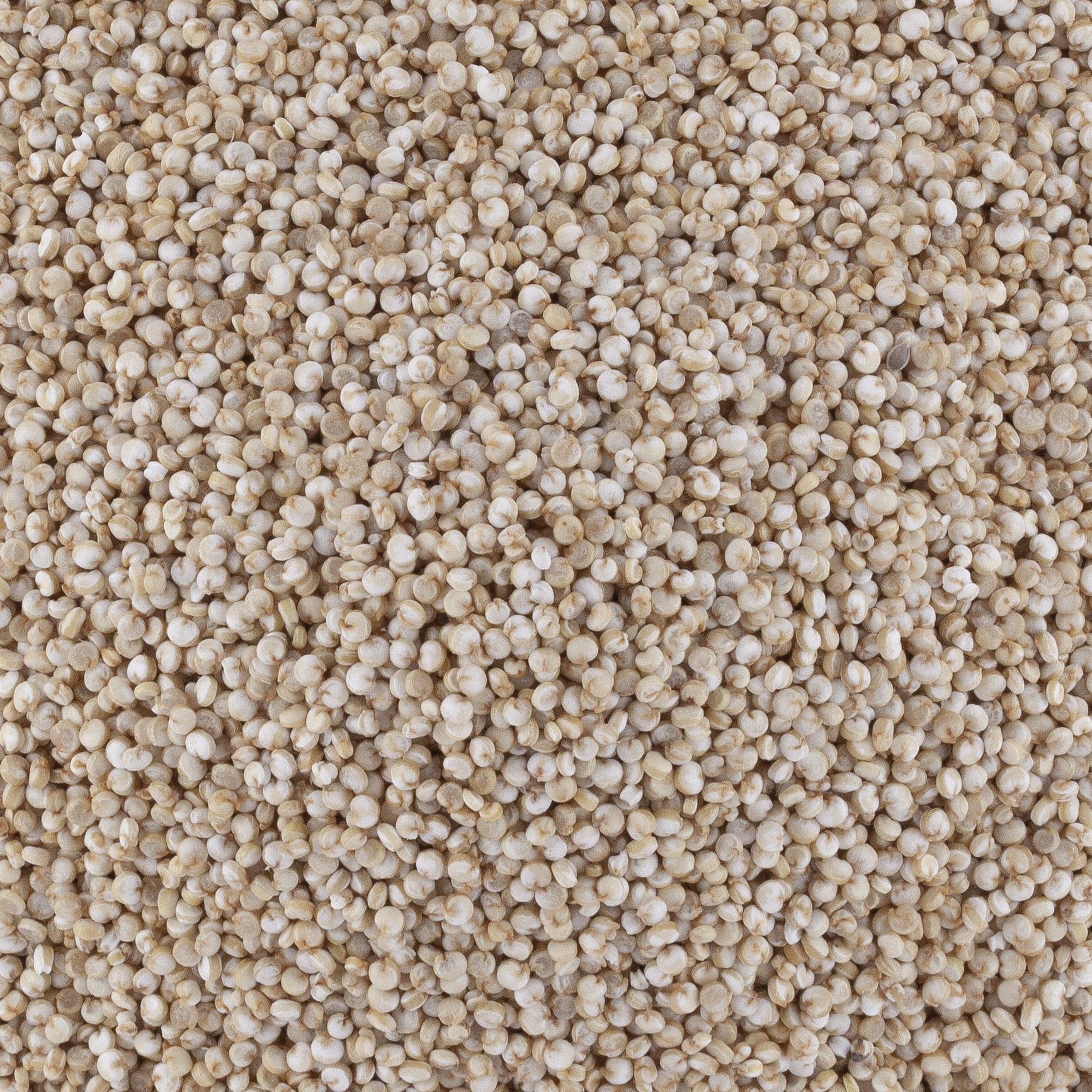 QUINOA HVE
