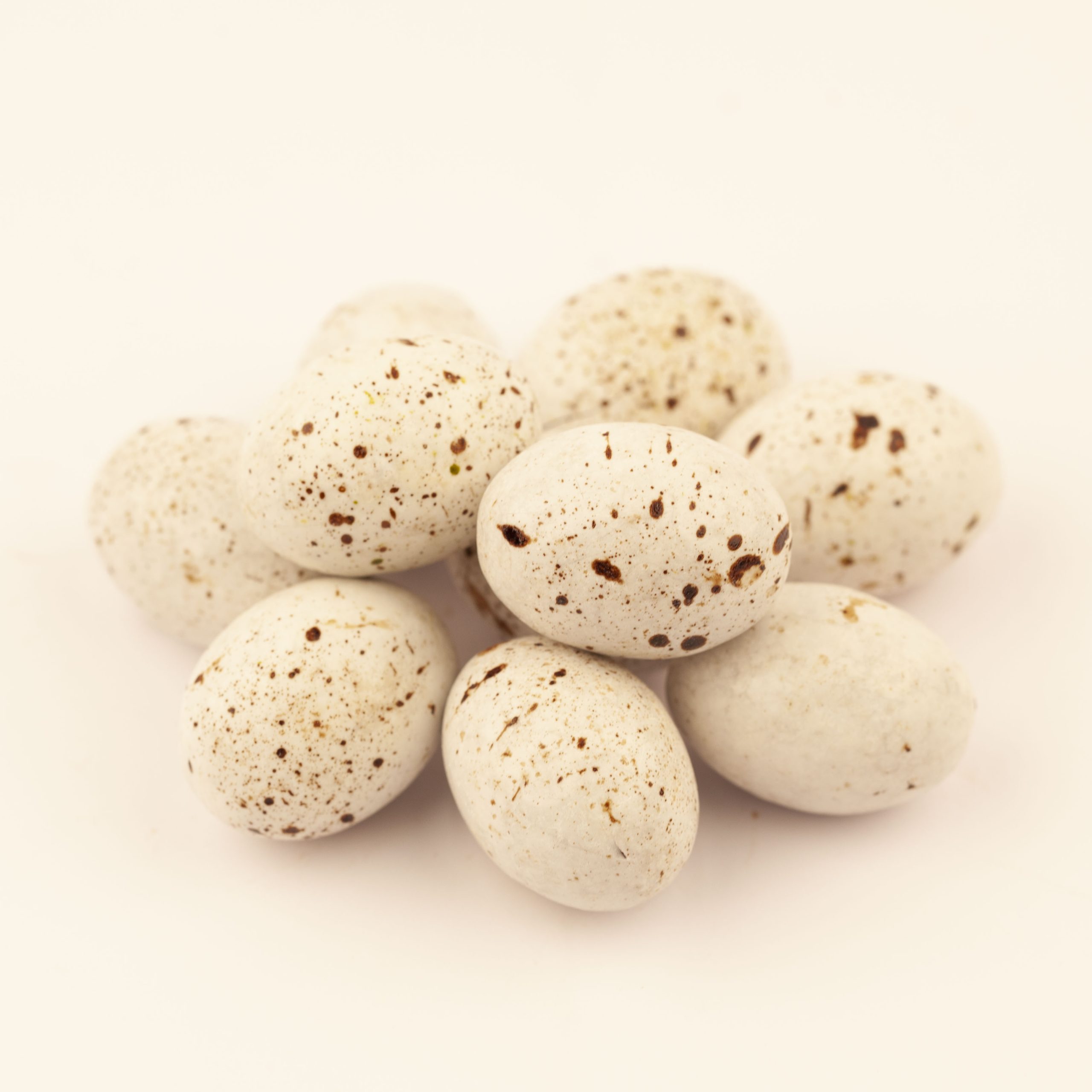 OEUFS DE MOUETTE