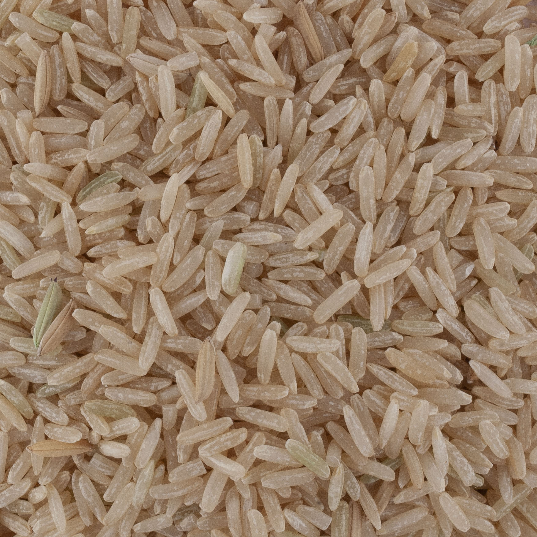 RIZ THAI DEMI COMPLET BIO