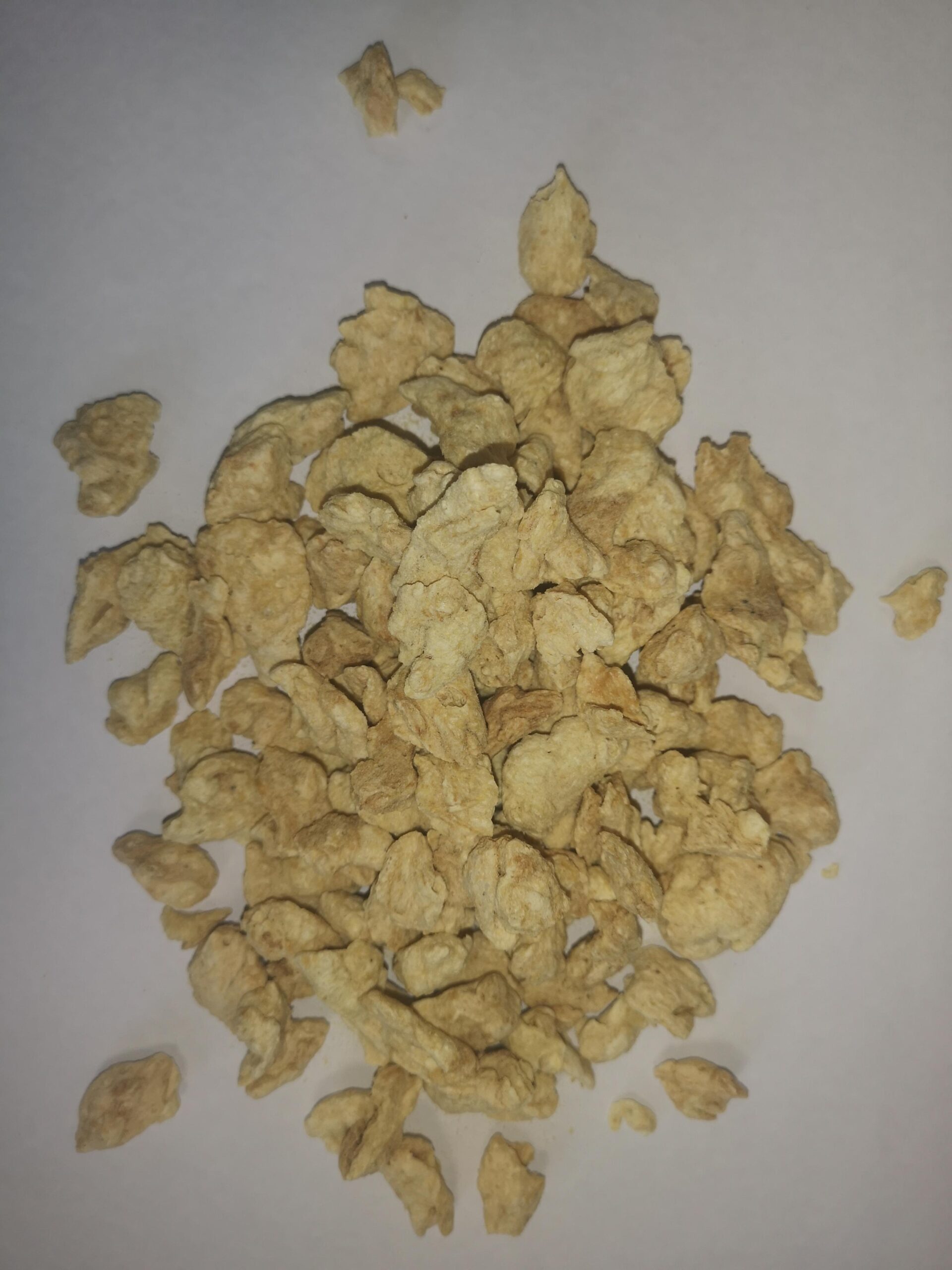 PROTEINES DE SOJA GROSSES BIO