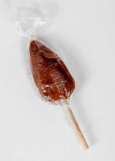 SUCETTE CARAMEL BIO 15G