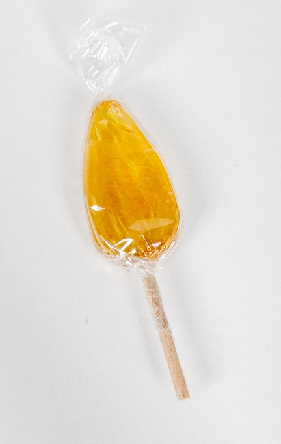 SUCETTE MIEL BIO 15G