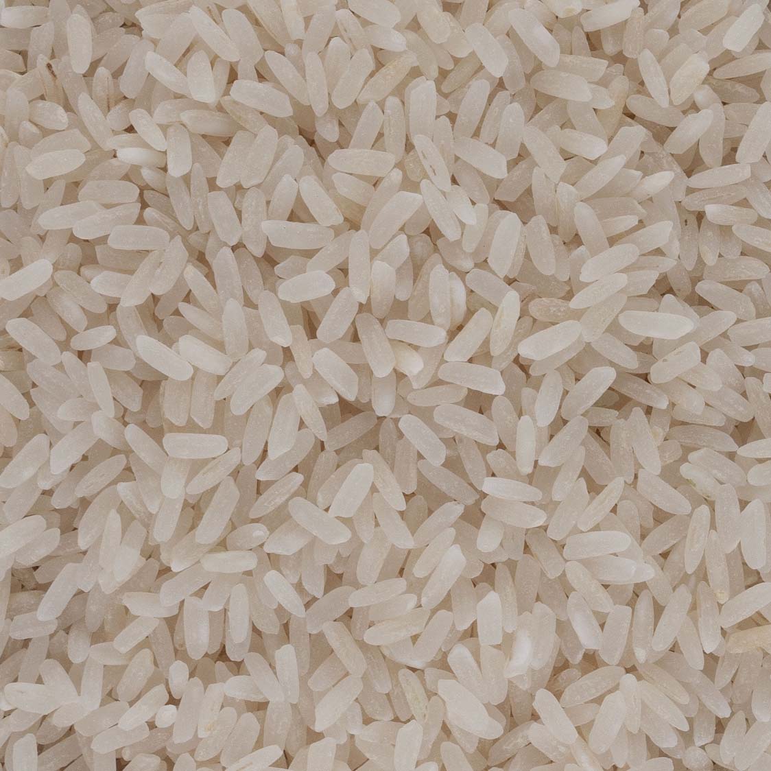 RIZ DE CAMARGUE IGP LONG BLANC BIO