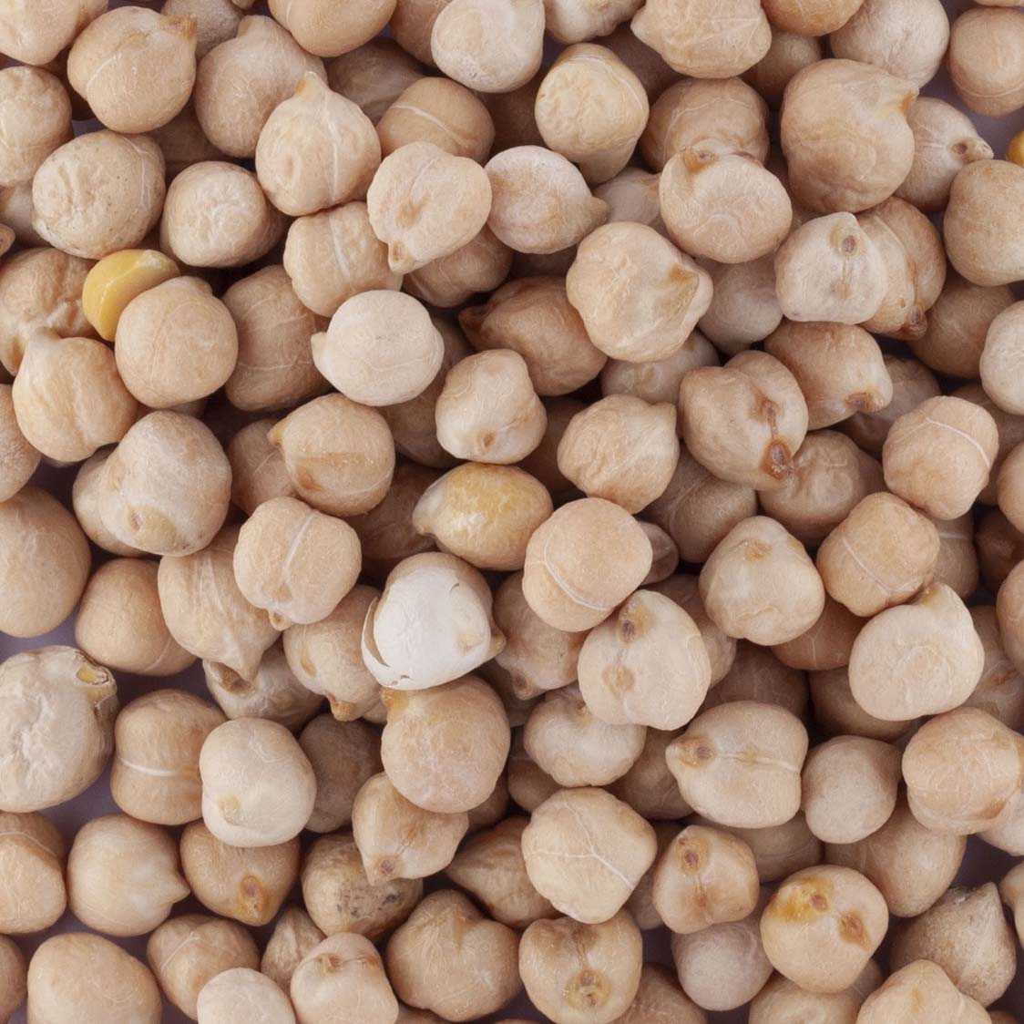 POIS CHICHES