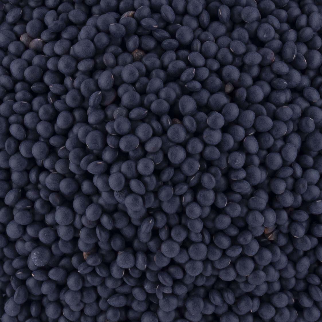 LENTILLES BELUGA