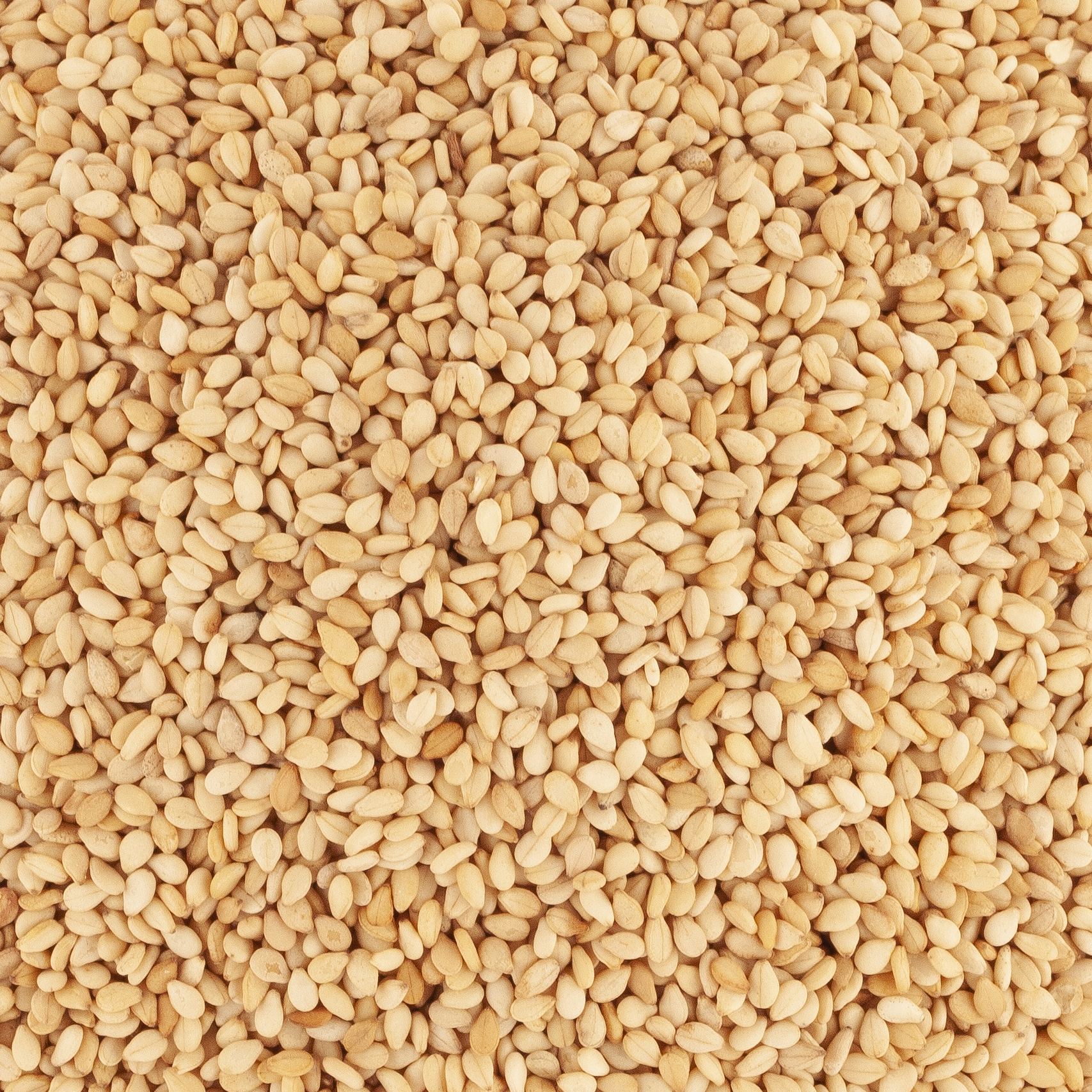 GRAINES DE SESAME DORE