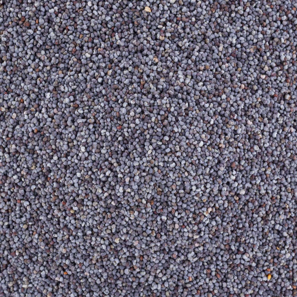 GRAINES DE PAVOT BLEU