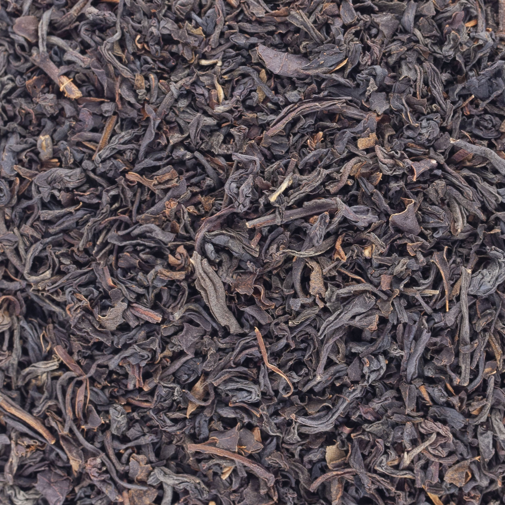 THE EARL GREY PLATINIUM