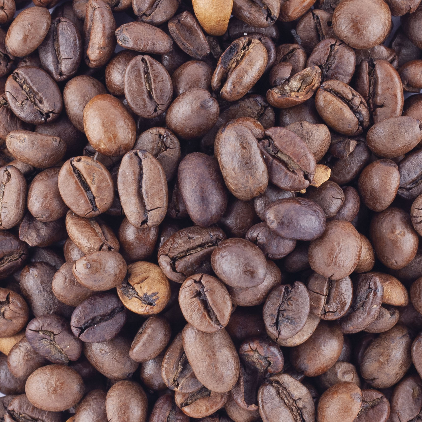 CAFE EQUILIBRE EQUITABLE BIO