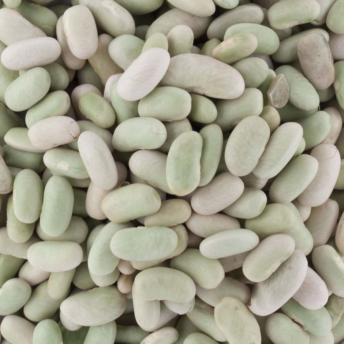 FLAGEOLETS