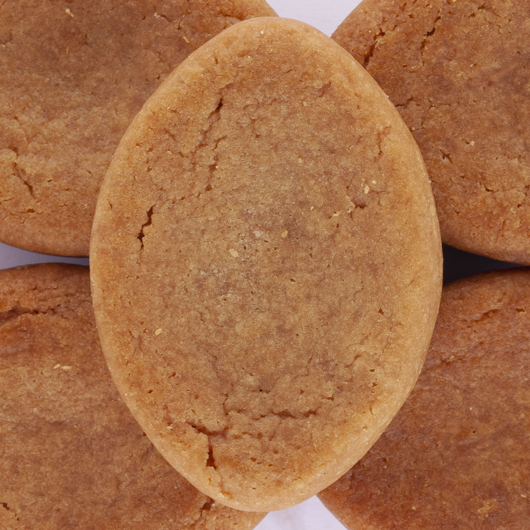 PALETS CARAMEL AU SEL DE GUERANDE BIO