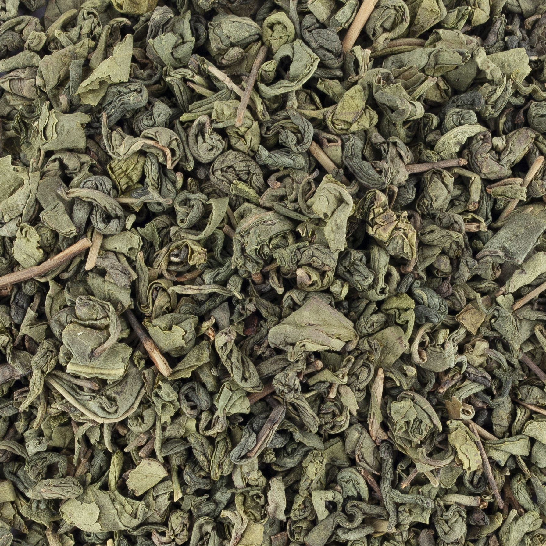 THE VERT GUNPOWDER BIO