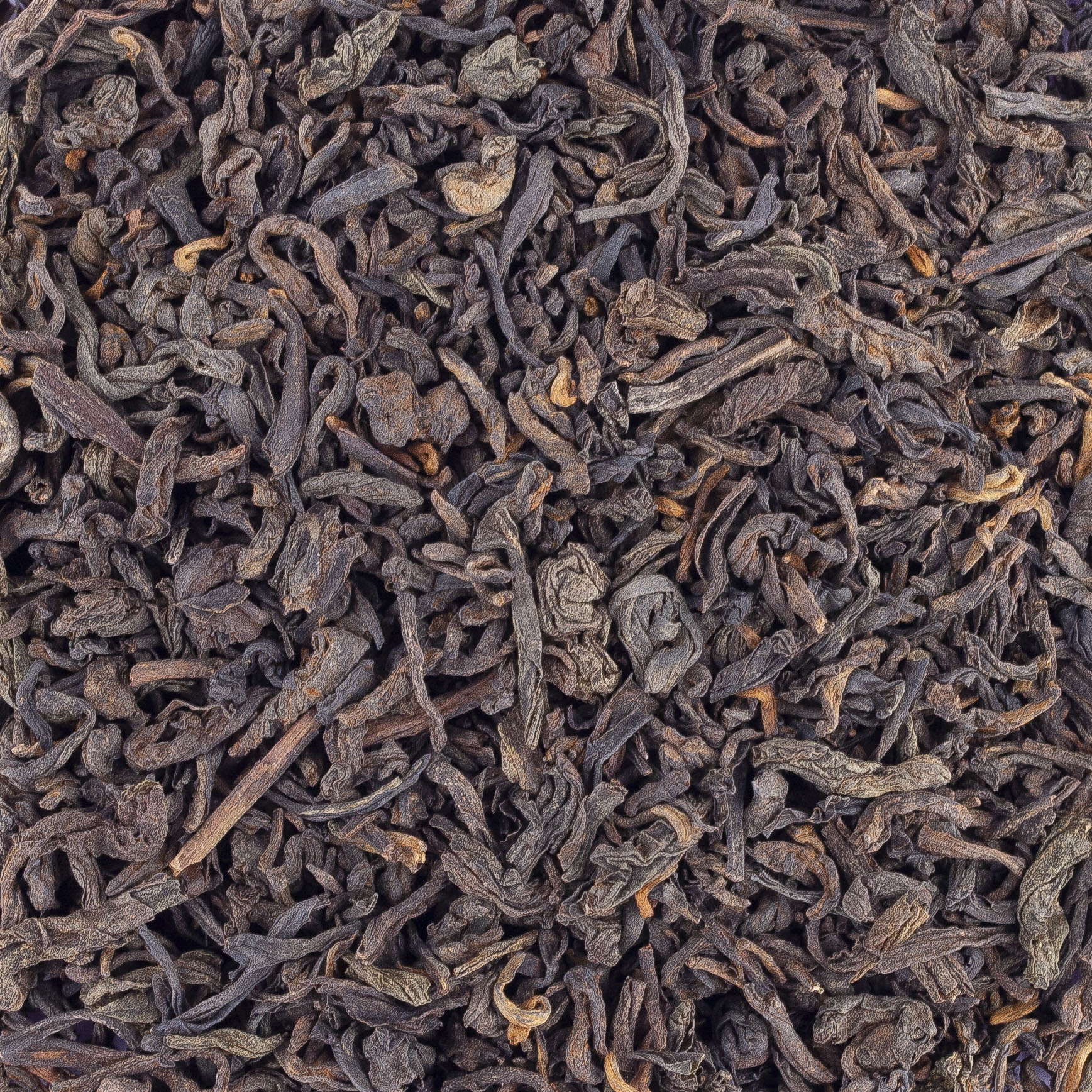 THE PU ERH BIO