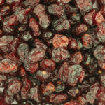 60331-cranberries-entières