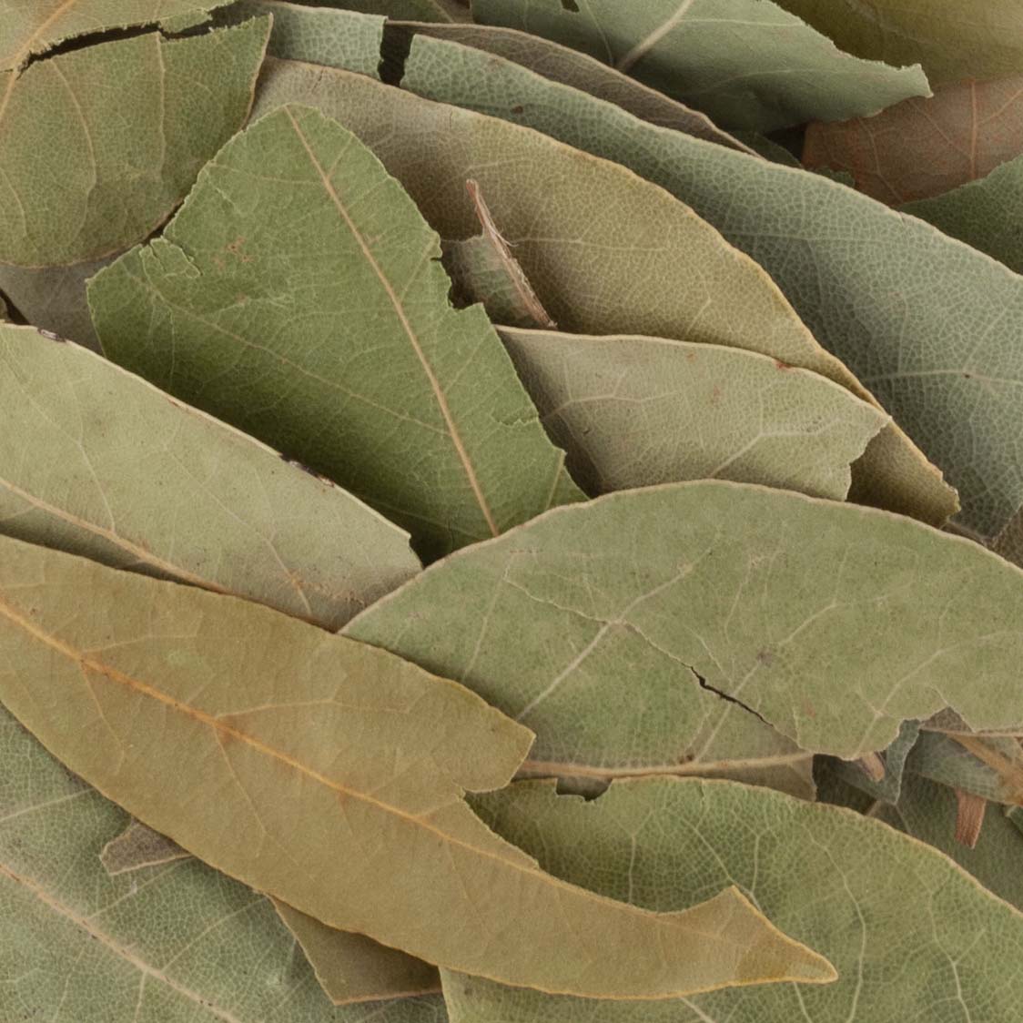LAURIERS FEUILLES
