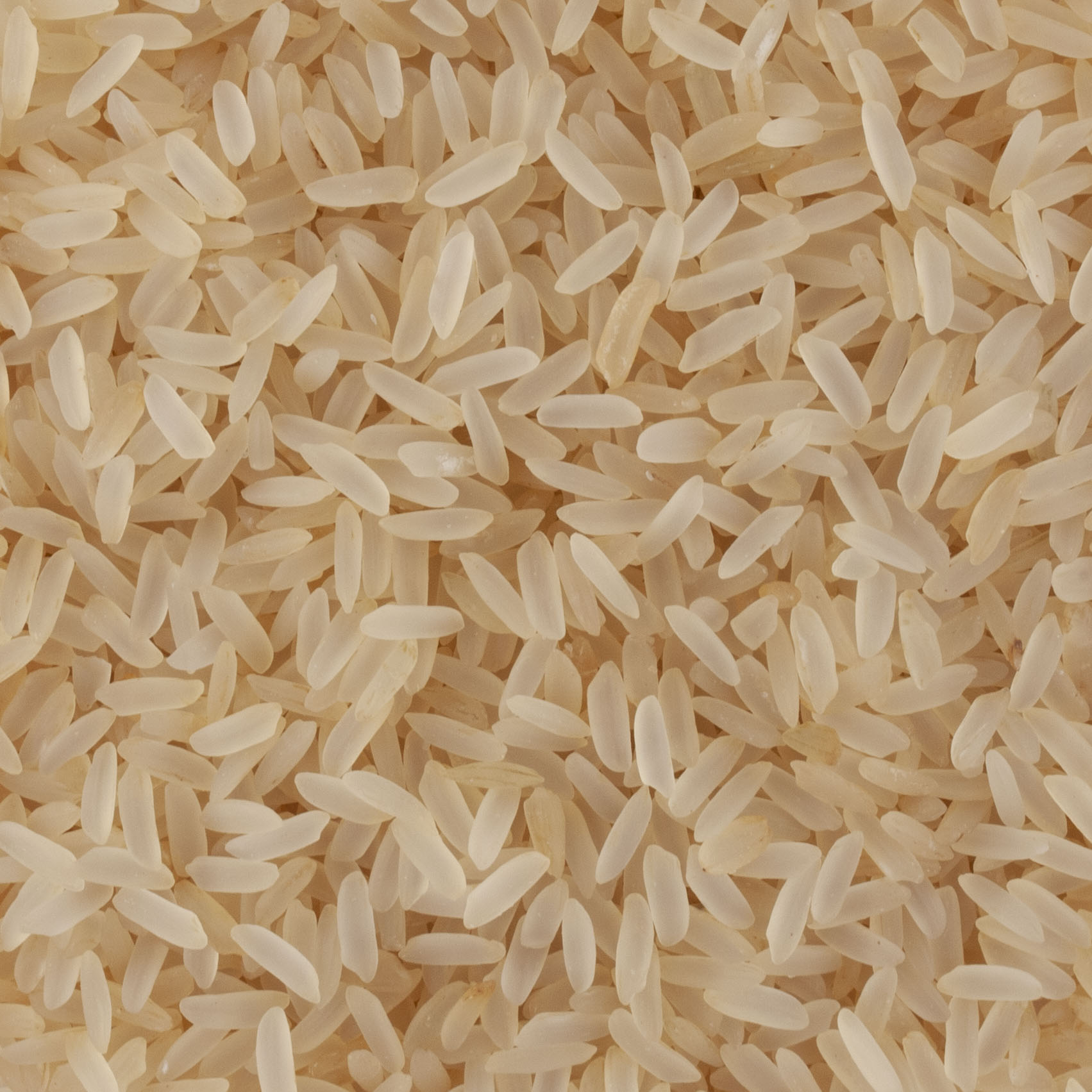RIZ DE CAMARGUE IGP ETUVE