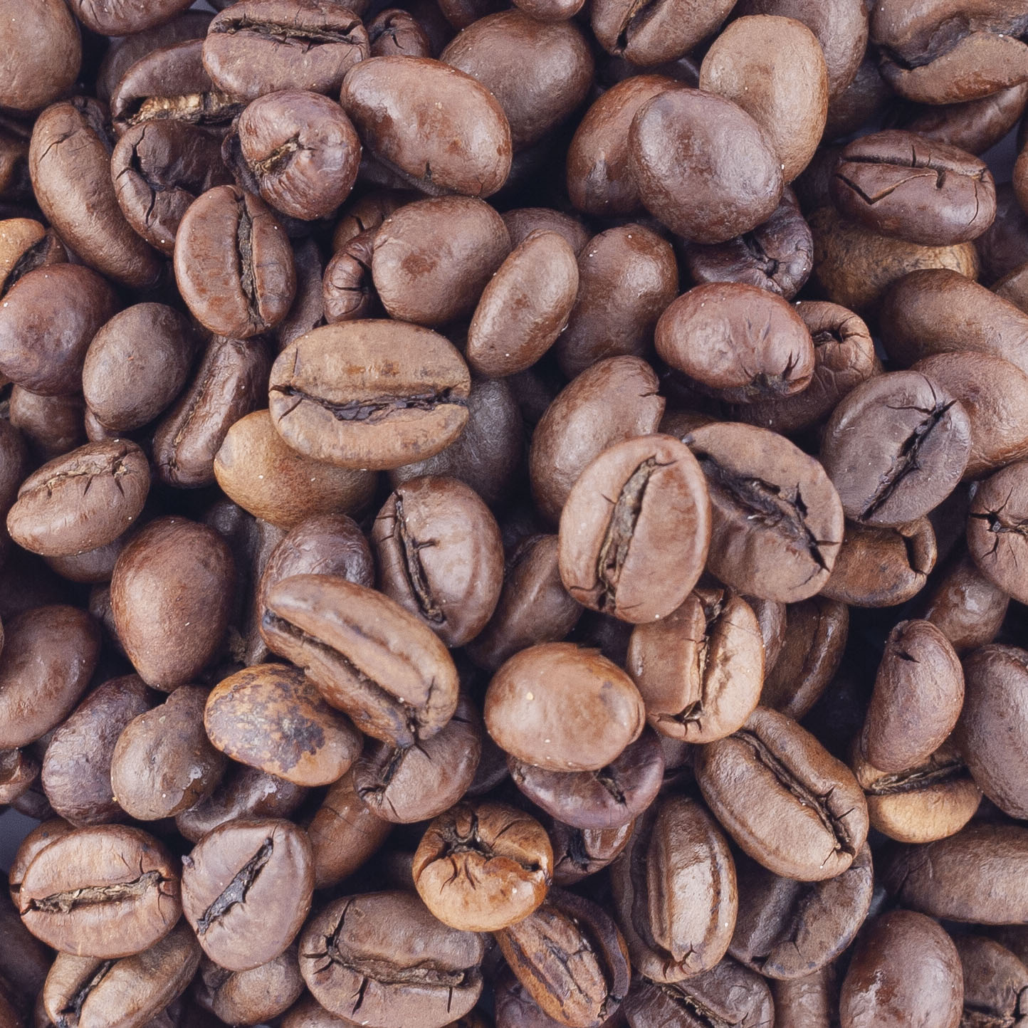 CAFE MOKA DJIMMAH PURE ORIGINE EQUITABLE BIO