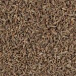 60861-anis-grains