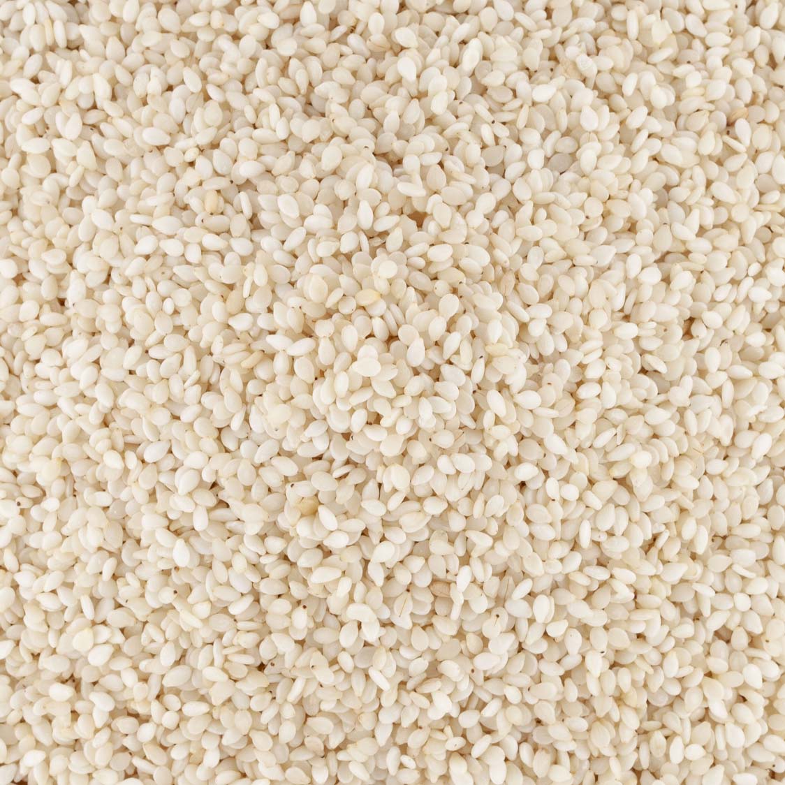 GRAINES DE SESAME BLANC