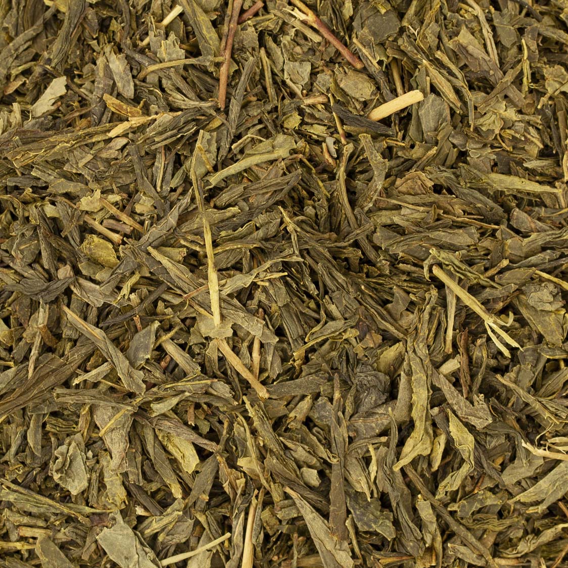 THE SENCHA BIO
