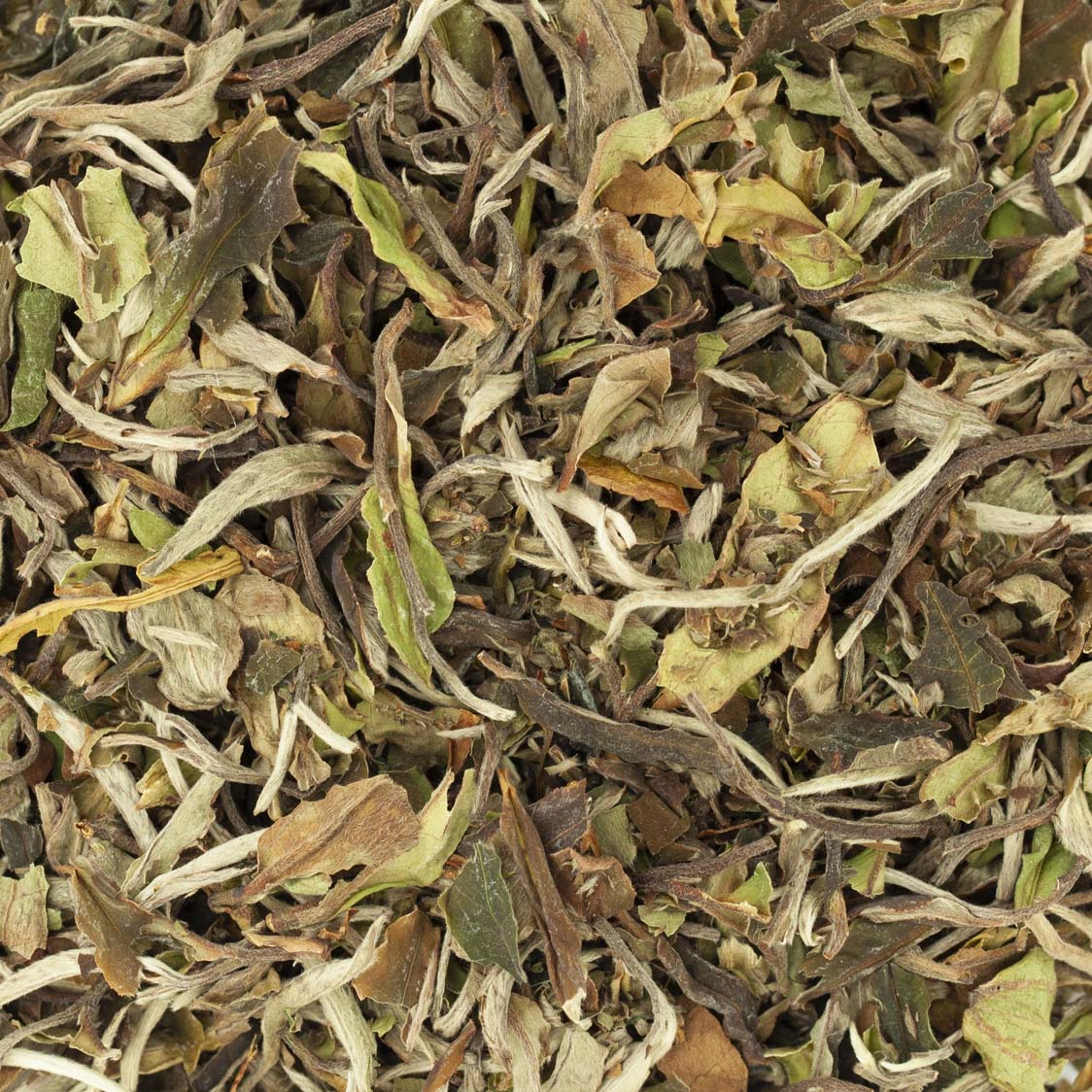 PAI MU TAN