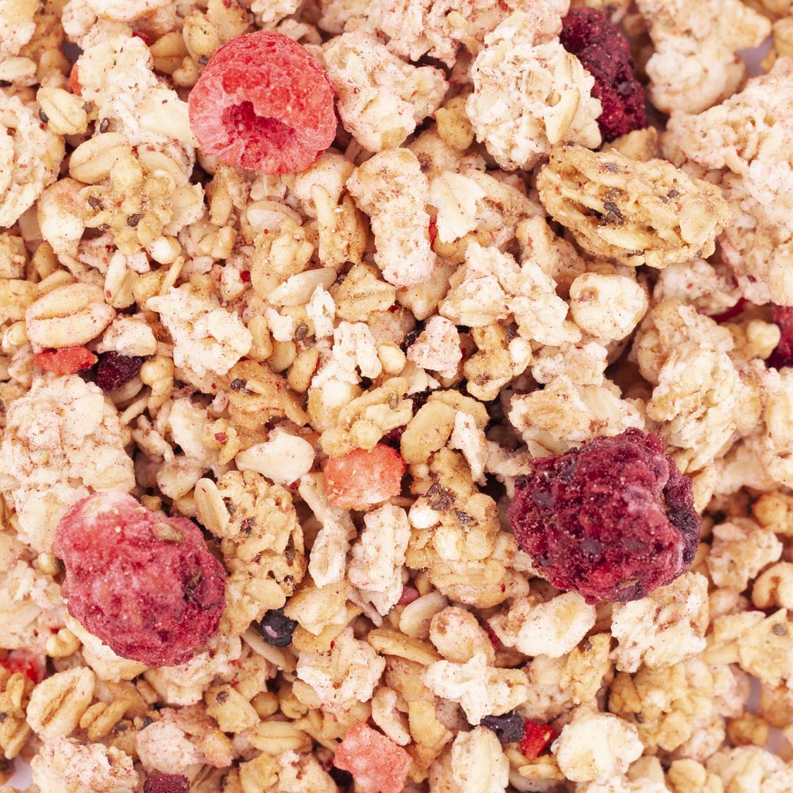 GRANOLA FRUITS DES BOIS BIO