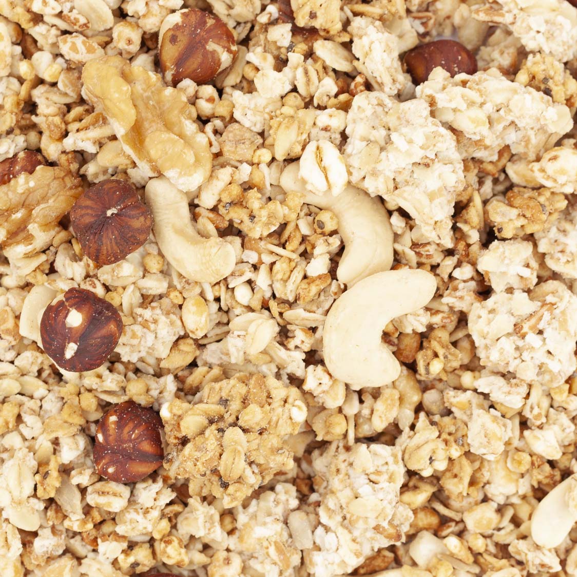 GRANOLA FRUITS SECS BIO