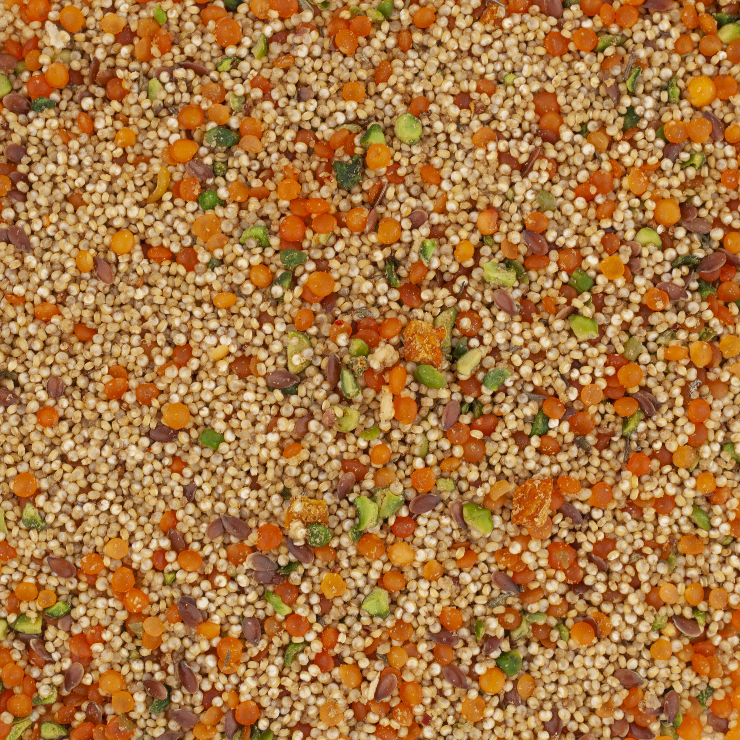 MELANGE DU POTAGER