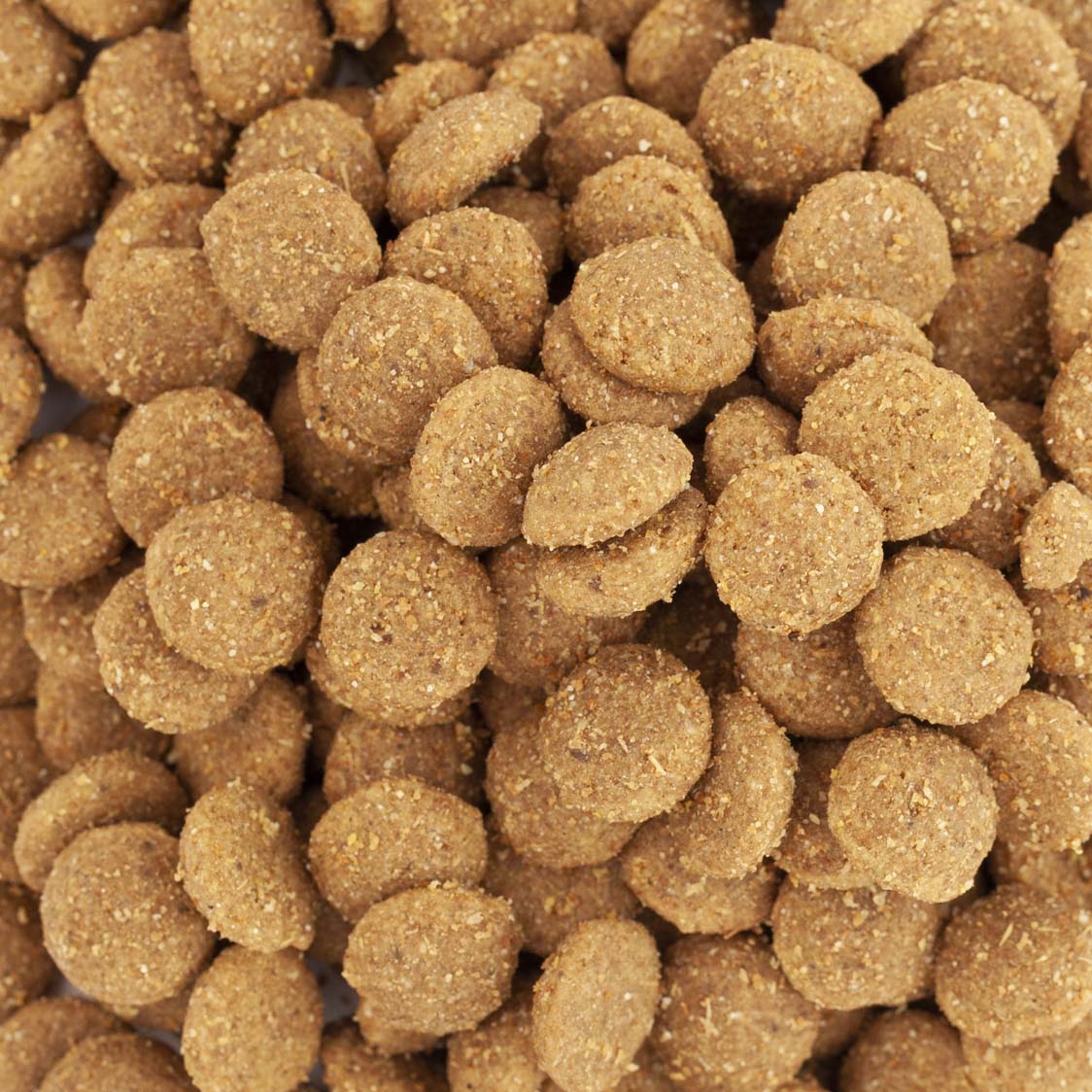 CROQUETTES CHIEN ALL SIZE BIO