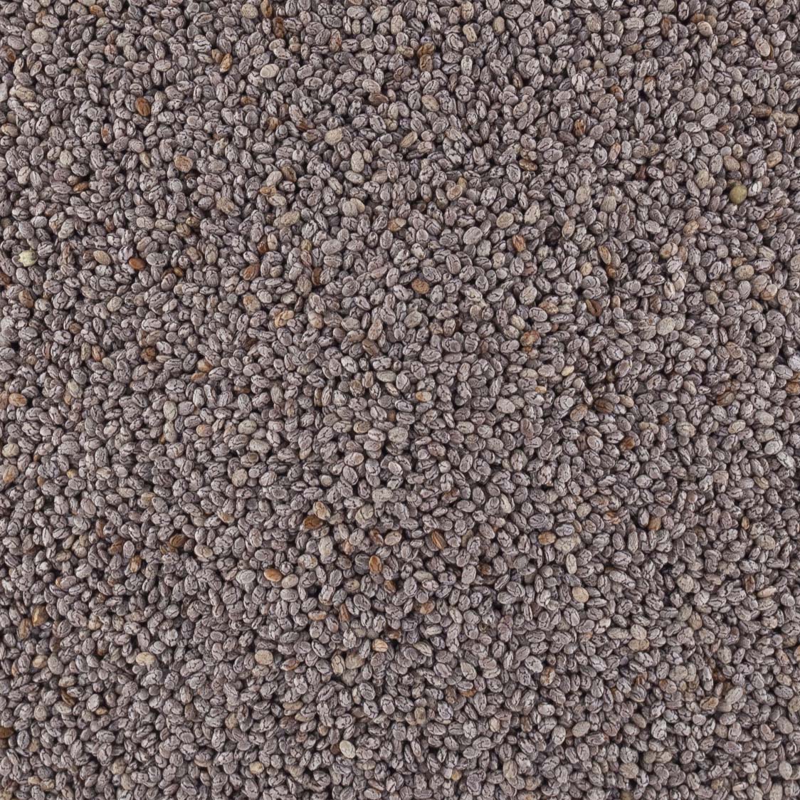 GRAINES DE CHIA