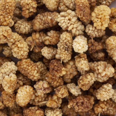 MULBERRIES BLANCHES SECHEES BIO ET EQUITABLES