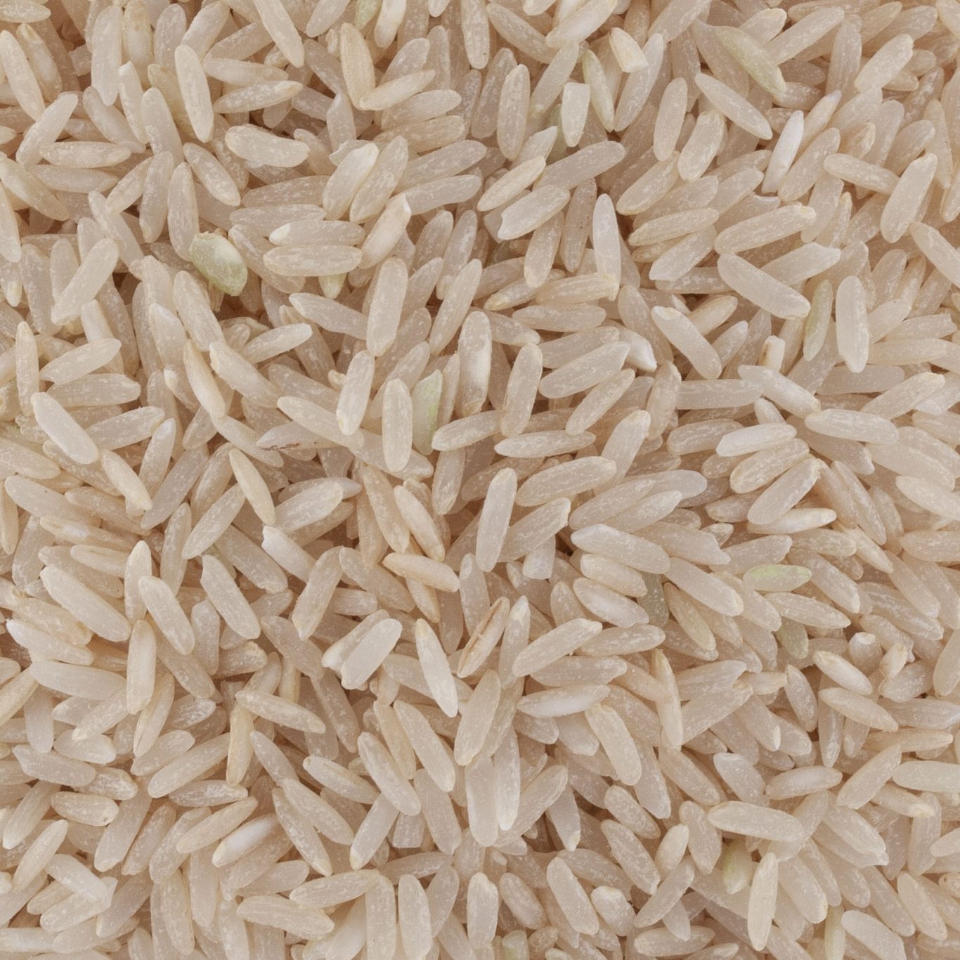 RIZ DE CAMARGUE IGP LONG DEMI COMPLET BIO