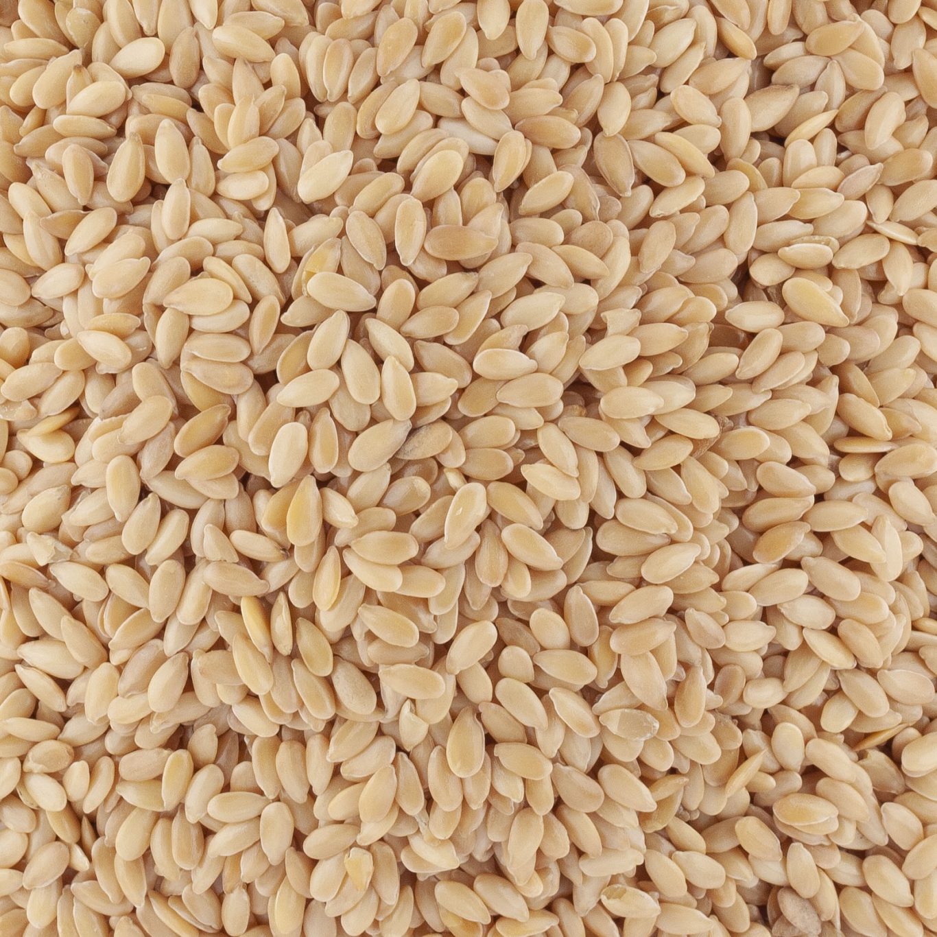 GRAINES DE LIN DORE BIO