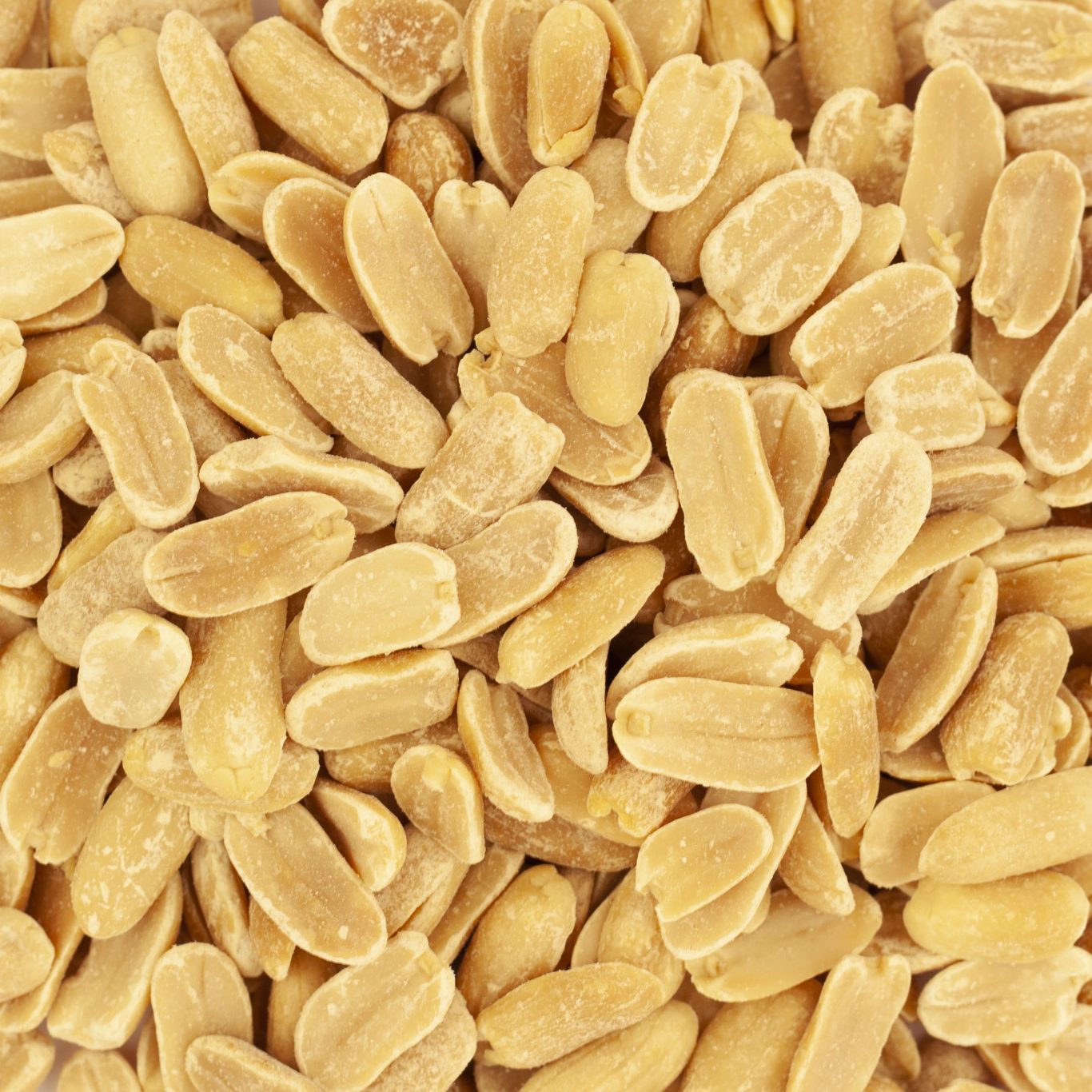 CACAHUETES GRILLEES NON SALEES BIO