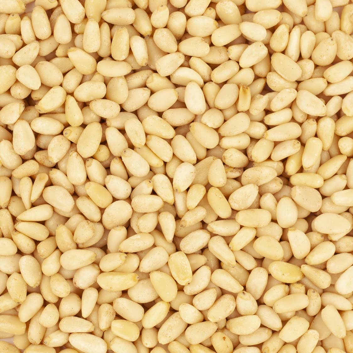 PIGNONS DE PIN BIO