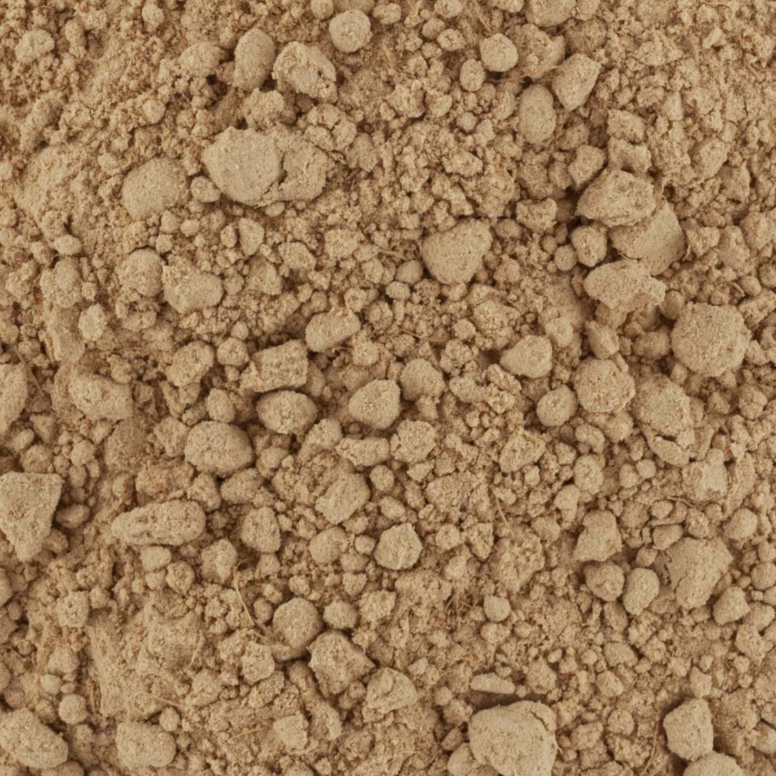 GINGEMBRE MOULU