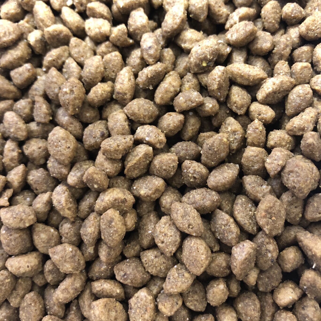 CROQUETTES CHAT STÉRILISÉ POISSON BIO