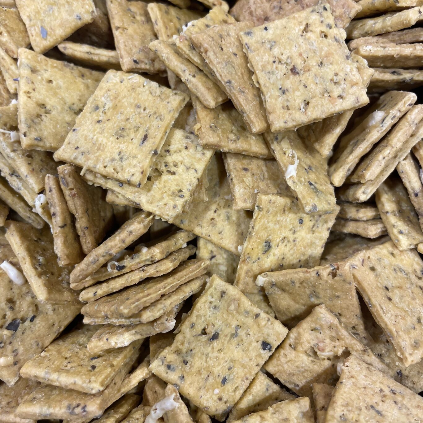 CRACKERS PIZZA BIO